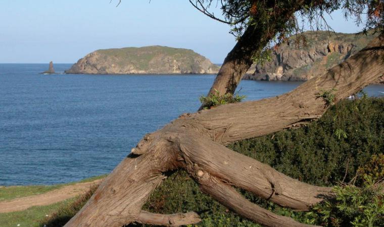 Appartamento In Casa Con Cortili Ad Arbus - Sardegna Ngoại thất bức ảnh